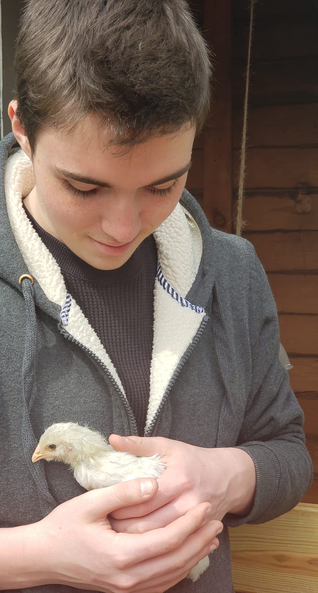 Luther Homestead new Chick Arrival