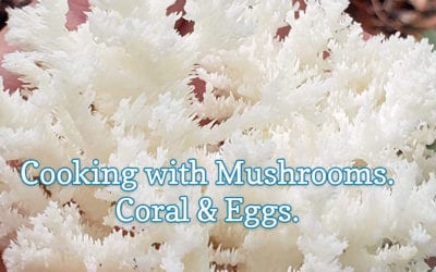 Breaded Coral Mushrooms & Eggs
